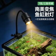 ���Sֱ�N����׃��ԭ���^�p���led�A��ˮ�ݸ��쾰�������~�ן�