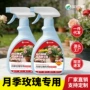 植物盆栽水生玫瑰花肥