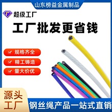 批发彩色包塑钢丝绳涂塑带皮钢丝跳绳晾衣绳灯饰吊绳可配端子压制