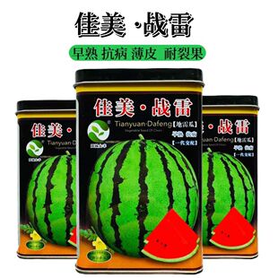 ���ϷN�Ӽ�������һ���������쿹������ȿƤ�����ѹ��r�����ϷN��