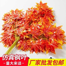 �t���~������~��֦�b٘��~���ϼtɫ�~���Sɫ�y���~�쾰�t����