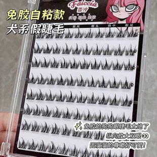 dog dog dog eye! Gel-free dog with false eyelashes innocent big eyes on the mirror natural false makeup daily curling self-adhesive