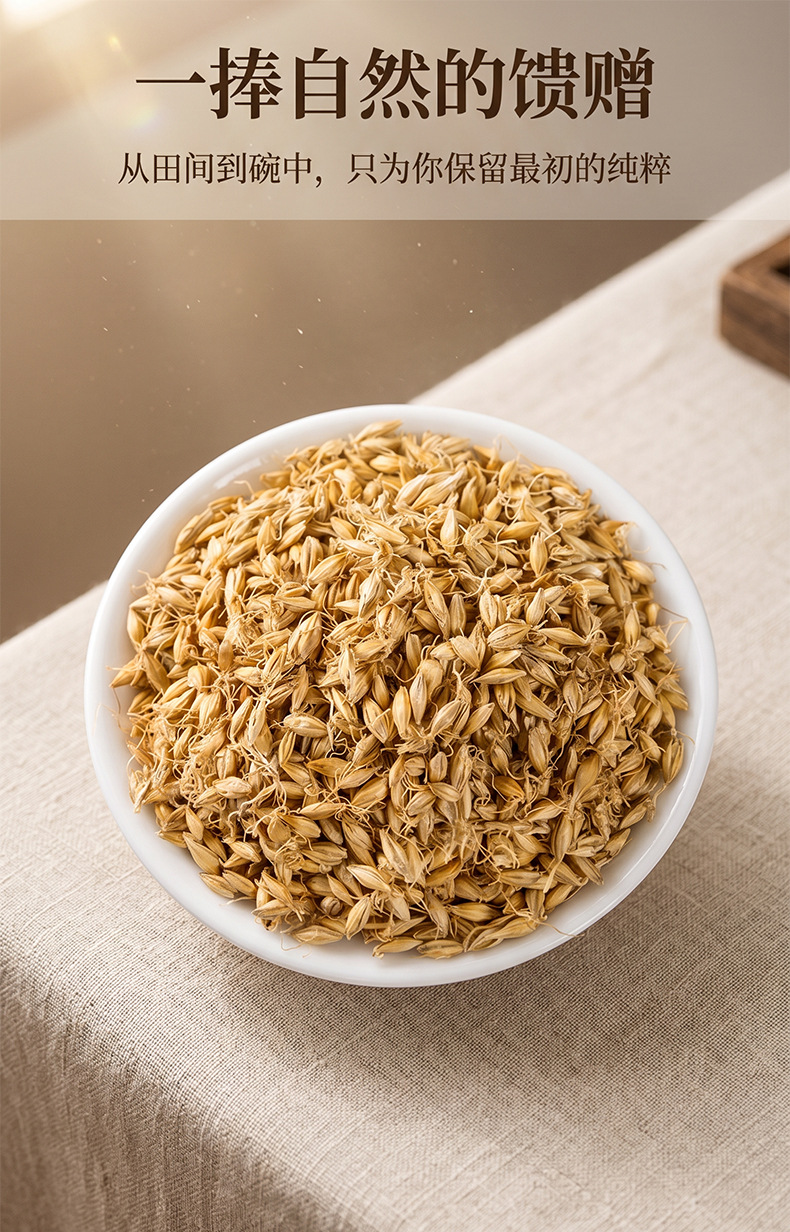 Raw Sprouted Barley Malt Germinated Barley Mai Ya Food Grade Dried Herb Bulk Supply 500g overview