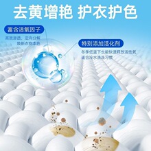 去桶装瓶装黄去衣物洗衣伴侣家用活力二八增白渍装懒人日韩品牌小
