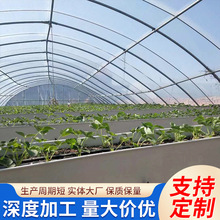 热镀锌温室大棚热镀锌管连栋玻璃温室大棚热镀锌圆管 Q235椭圆管
