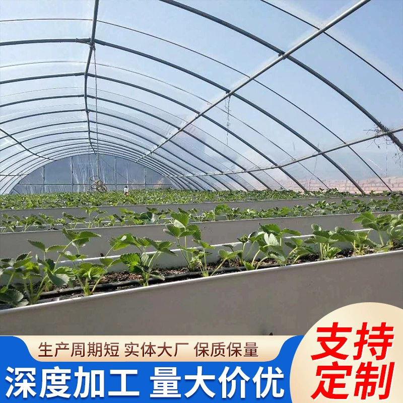 Оцинкованная теплица горячего цинкования, оцинкованная труба, многопролетная стеклянная теплица, оцинкованная круглая труба, овальная труба Q235