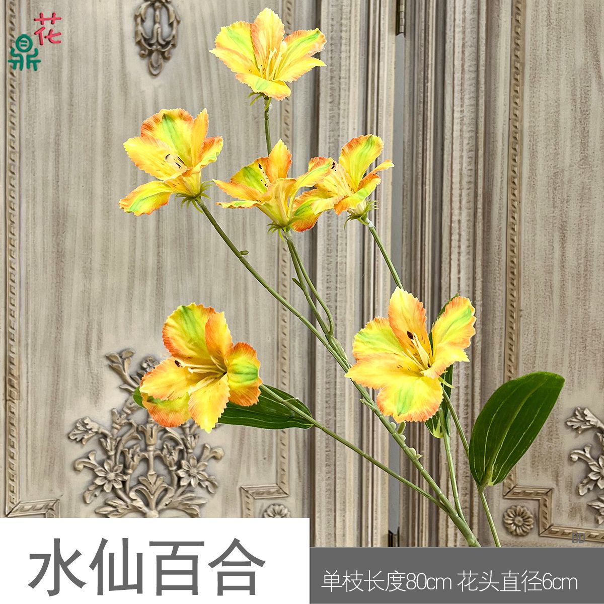 Hoa Thủy Tiên Lily BD Cam