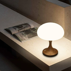 吸顶灯;吊灯;风扇灯