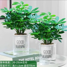 ���_ľ���Ի����k���҃�ֲ��˷���ؔˮ��Gֲ���B��������ȩֲ��
