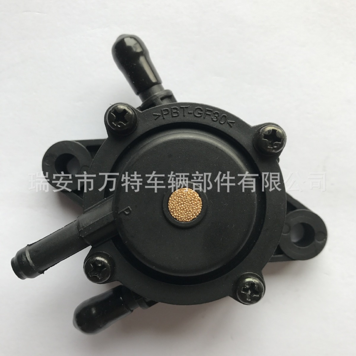 厂家供应 适配2439304-S&2439316-S园林发电机燃油泵808656  1670