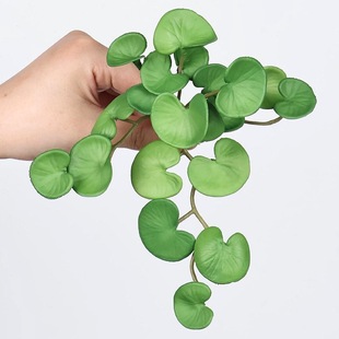 ����ֲ��ܛ�z�~�X�ݼt���~�����~���~�ݷ���Gֲ���촹���b��쾰