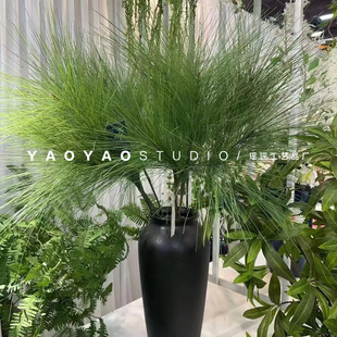 3���Rβ�� ���ɯ��ɭ��ϵ�GֲĪ�λ��@�Lܛ�b�쾰�߶˷���ֲ��