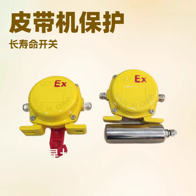 传送带两级跑偏开关TYPP-12-30 TYPP-20-35皮带机输送带保护装置