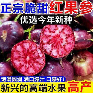 ��ϼt��������N����������������N����Y��֩���ˮ����N��