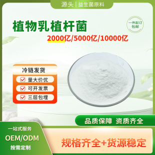 Lactobacillus phytobacillus plantarum 200 billion 500 billion 1000 billion probiotics freeze-dried powder high activity food grade raw material