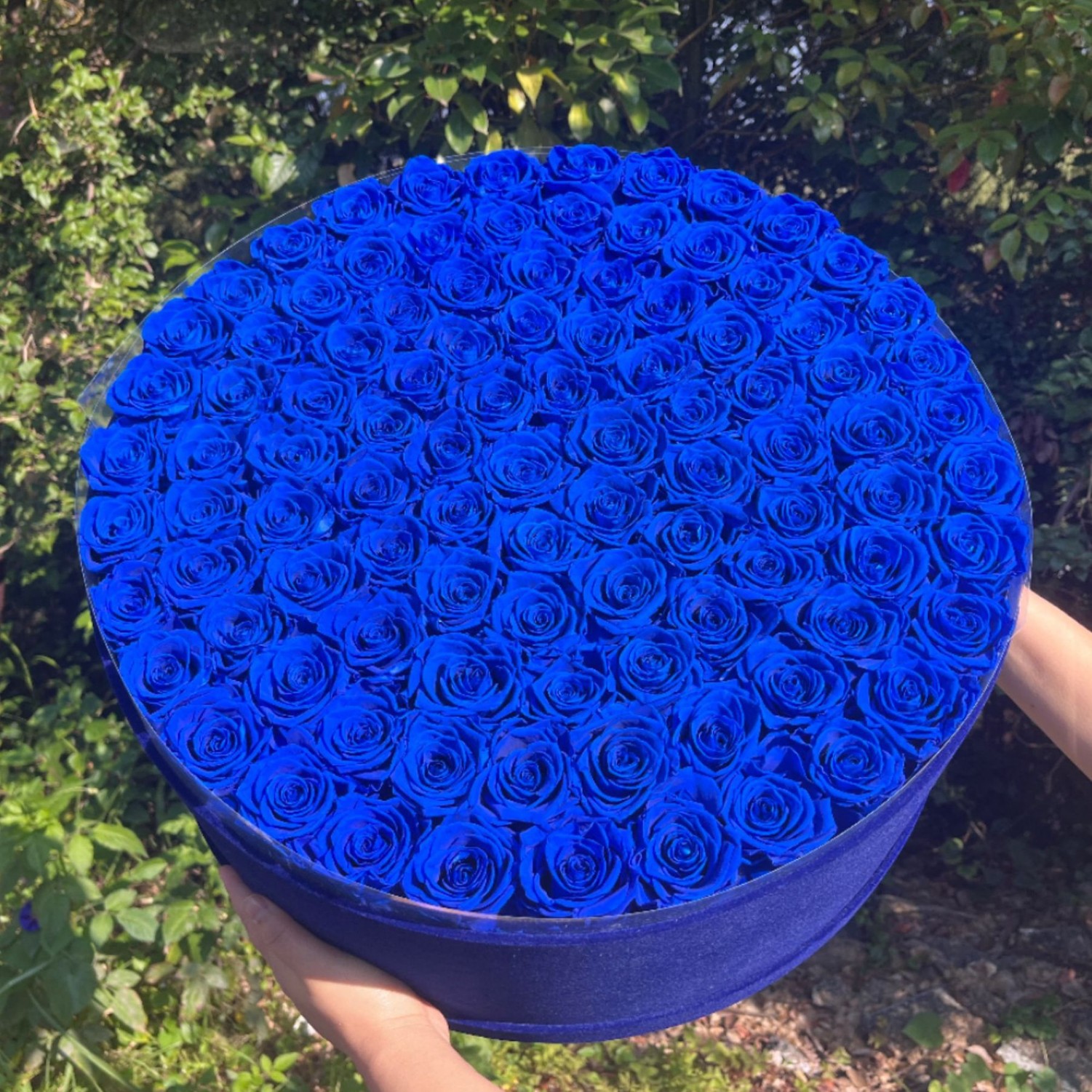 99송이의 장미통