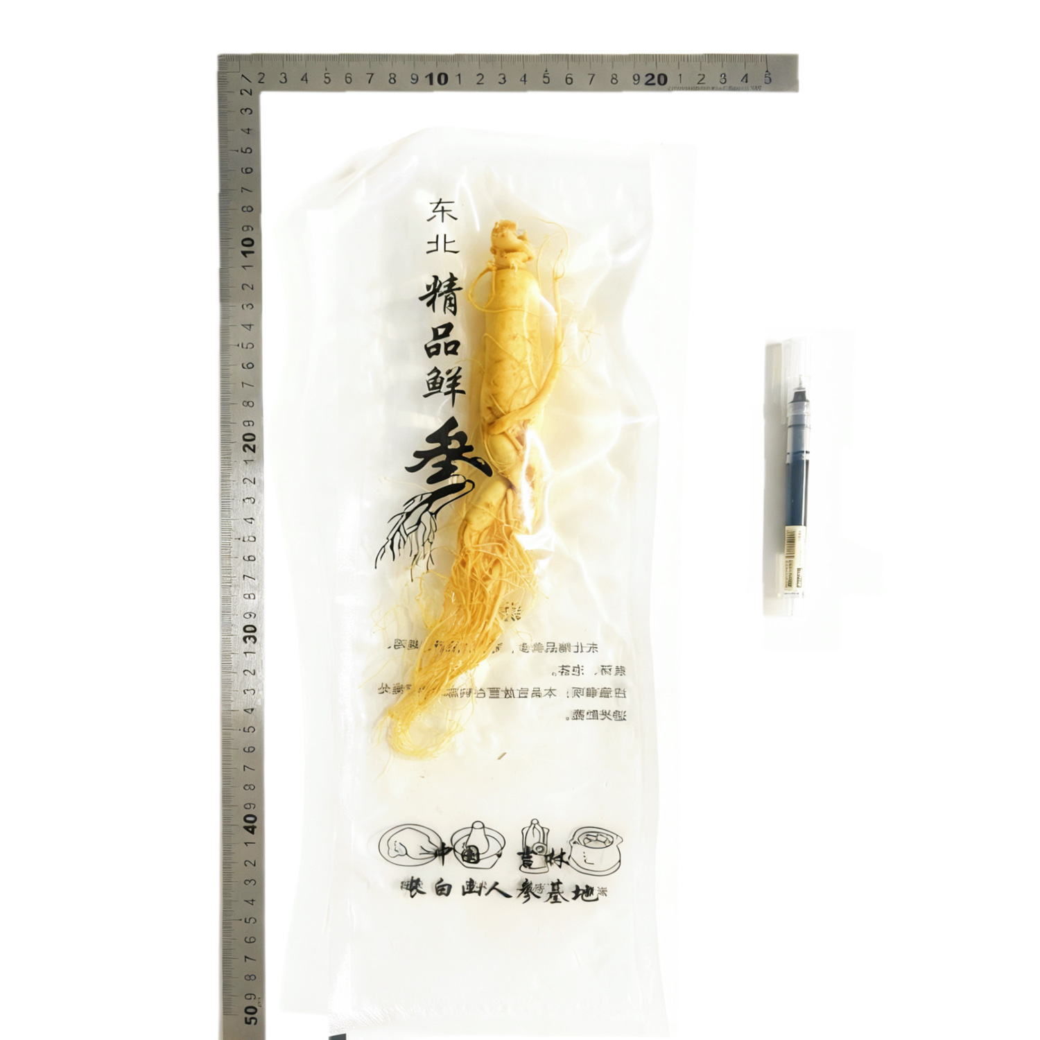 【鮮人参】長白山人参卸売メーカー直販 東北特産新鮮人参 酒漬け人参 生人参