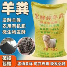����S�l���ЙC��40kg�r�÷Nֲ�N�ˌ����������������l����S�w��