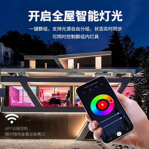 Smart Flush Mount Round Edge-Lit LED WIFI Bluetooth RGBCW Dimmable Color Changing Tuya Living Room Bedroom Lamp