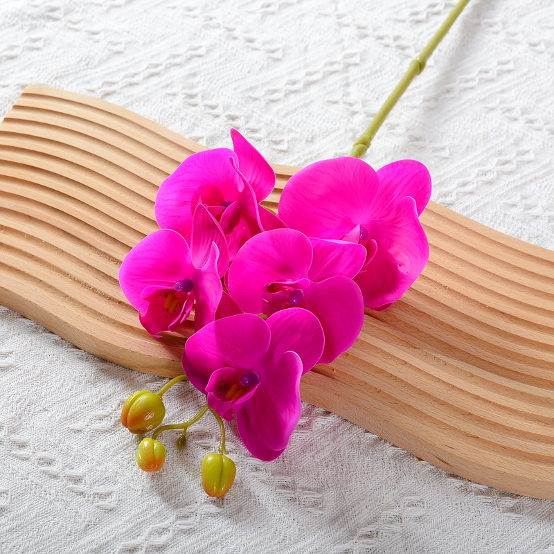 5 헤드 다크 퍼플