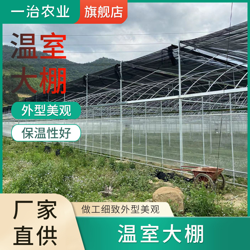 Manufacturer Customized Greenhouse Main and Auxiliary Arch Conjoined Greenhouse Planting and Breeding Vegetable Shed Flower Garden Smart Greenhouse Manufacturer Customized Greenhouse Main and Auxiliary Arch Conjoined Greenhouse Planting and Breeding Vegetable Shed Flower Garden Smart Greenhouse