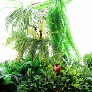 ֲ��~�ӼٲݾGֲ������ϵ�䁲͏d�����T�^�����OӋ�b�