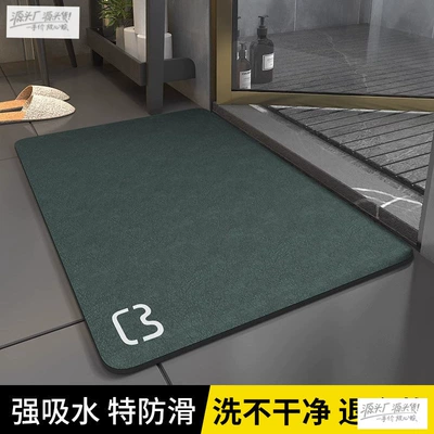 Mat, Diatomaceous Earth Quick-Dry — Avtomobil döşəmə paspasları - diatom-mud-cushion-cat-head-natural-dark-green-4060cm-instantly-absorbs-water-and-leaves-no-trace-when-passing-through-your-feet