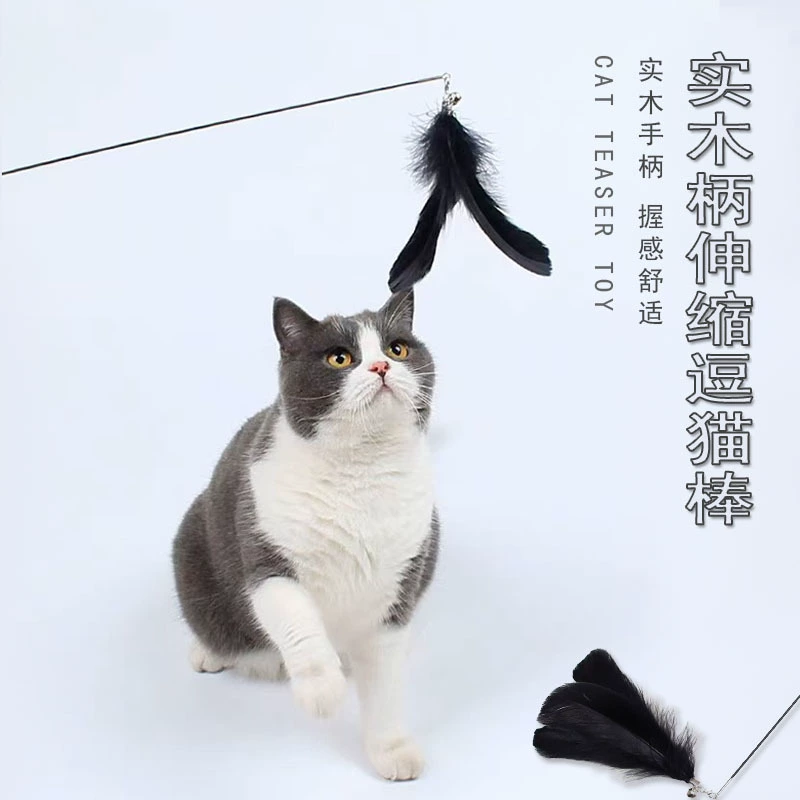Телескопический питомец дразнит кошачью деревянную ручку Два секции интерактивных кошачьих игрушек из цельного дерева колокольчики заменяют перья