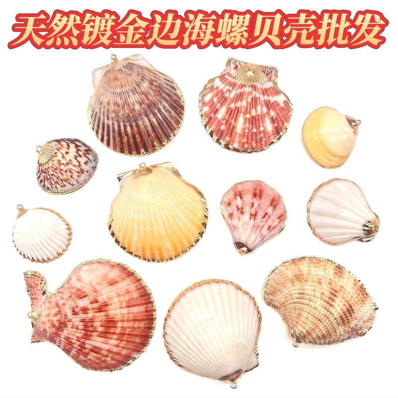 Cross-Border Gold-Plated Natural Conch Shell Wholesale Electroplated Pendant Shell DIY Materials Earrings Necklace Jewelry Accessories Cross-Border Gold-Plated Natural Conch Shell Wholesale Electroplated Pendant Shell DIY Materials Earrings Necklace Jewelry Accessories