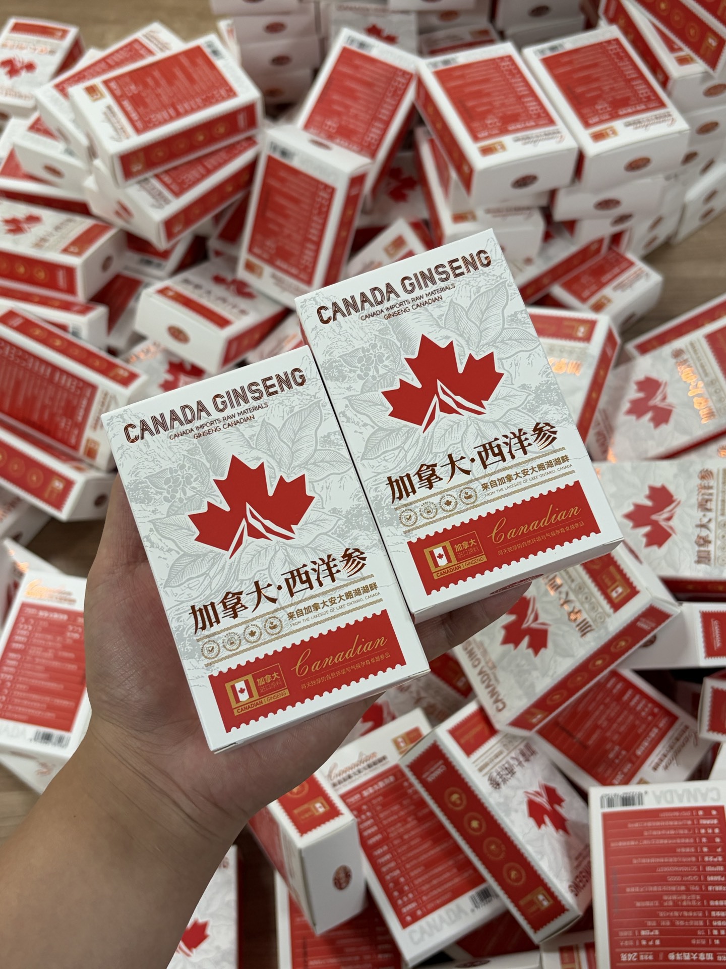 Canadian American Ginseng Powder Xiyangshen 24g Box Ready to Eat Herbal Supplement specifications