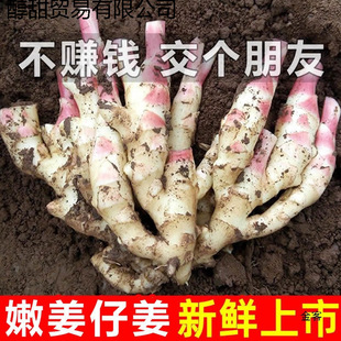 ���r�۽������r���н��ӽ����r�F�ڽ�ѿ�Ǵ׽��ݽ��߲˷�С�S��