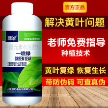 200克 一喷绿黄叶变绿含氨基酸通用蔬菜花卉叶绿素微量元素叶面肥