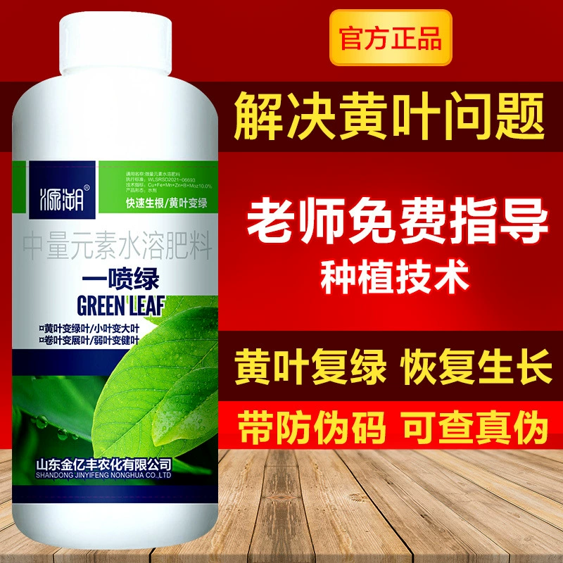 500 грамм спрея зеленых желтых листьев зеленого цвета, содержащих аминокислоты общие овощи цветы хлорофилла микроэлементы листового удобрения