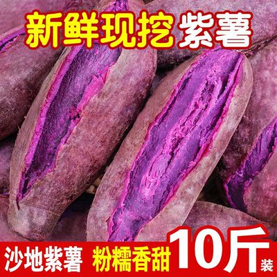 fresh Dredging Purple sweet potato Chinese chestnut sweet potato Sweet potato Sweet potato Trade price 13510 Jin