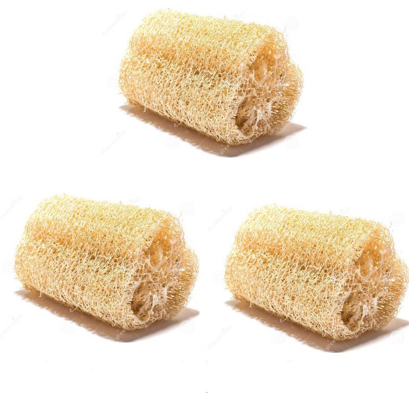 대형 8cm 섹션 알몸 상품