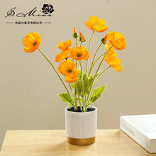 仿真罂粟花盆景厂家直供创意室内装饰摆件一件代发人造花仿真盆栽