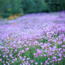 ҊݸɣNһļN_׻ͥԺҊͻ