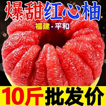 【超甜】福建红心柚子当季新鲜水果整箱现摘白心平和红肉蜜柚薄皮