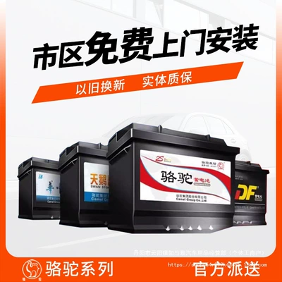 Camel Df Swan Car Battery Suitable for Wuling, Baojun, Changan, Dongfeng, Chevrolet, Byd 12V Wholesale (Car battery/battery)