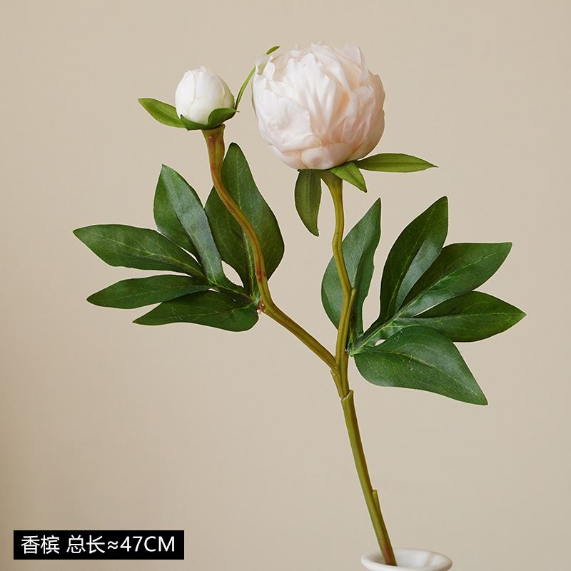 샴페인✧