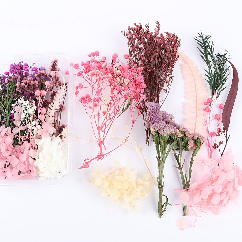 Flores secas preservadas hechas a mano, marco de fotos DIY, decoración mixta, materiales de aromaterapia, flores naturales, ramo de regalo para boda, San Valentín