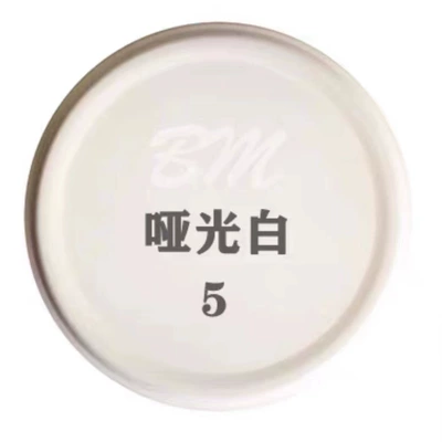 Wholesale Li lacquer car: Avtomobil boyası - 5-li-paster-matt-white-paint-net-content-238g1-bottle