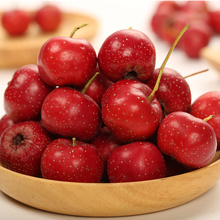 新鲜山楂果5斤装 山楂鲜果山里红果批发新鲜大山楂干片冰糖葫芦用
