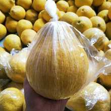 ?ӱrӺӱrɳִɫ͸ϱrĤ