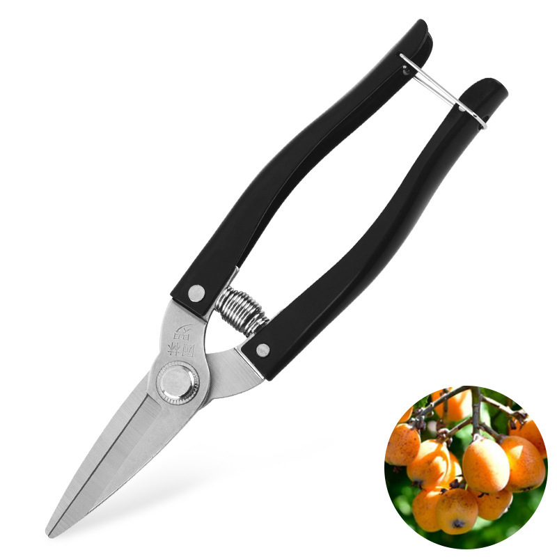 厂家修枝剪刀粗枝长枝剪刀园林果树剪摘果剪园艺花艺剪刀