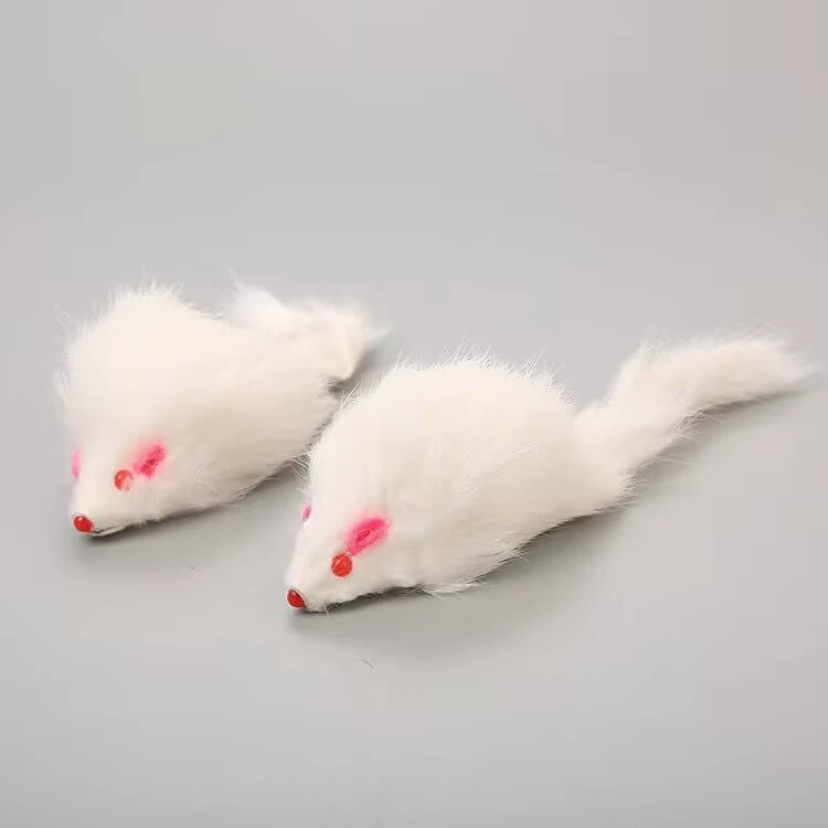 Plush realistic lifelike toy, cat, pet
