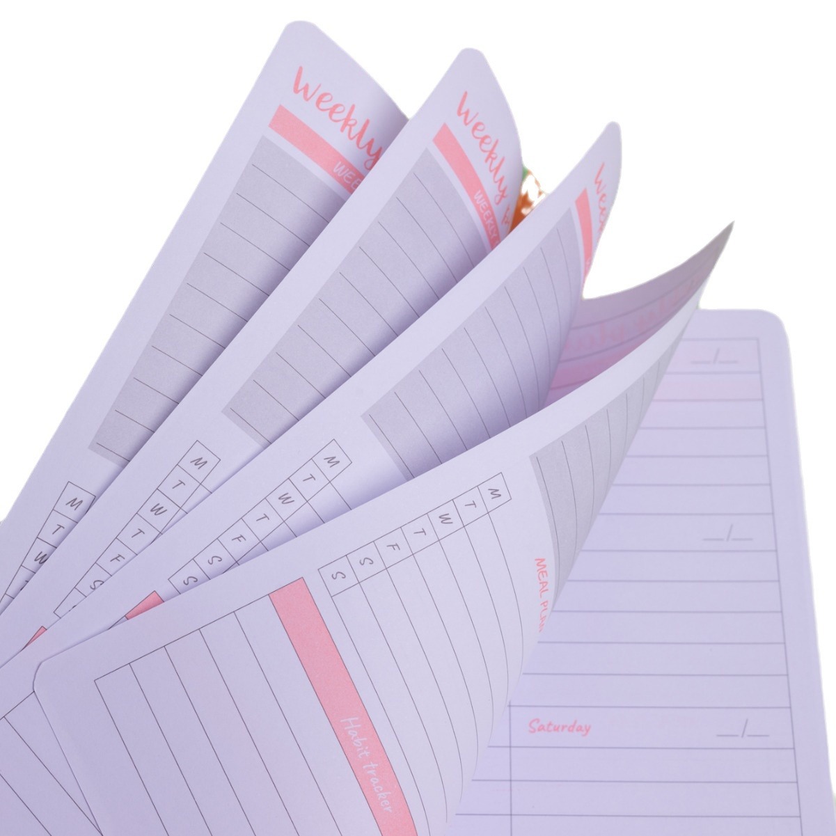 Cubierta de PP registro semanal de este cuaderno de bobina A5 bobina de dibujos animados diario semanal de estudiantes de secundaria al por mayor