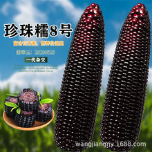 ߮aŴ׷NӷDˮ׷Nȫļش