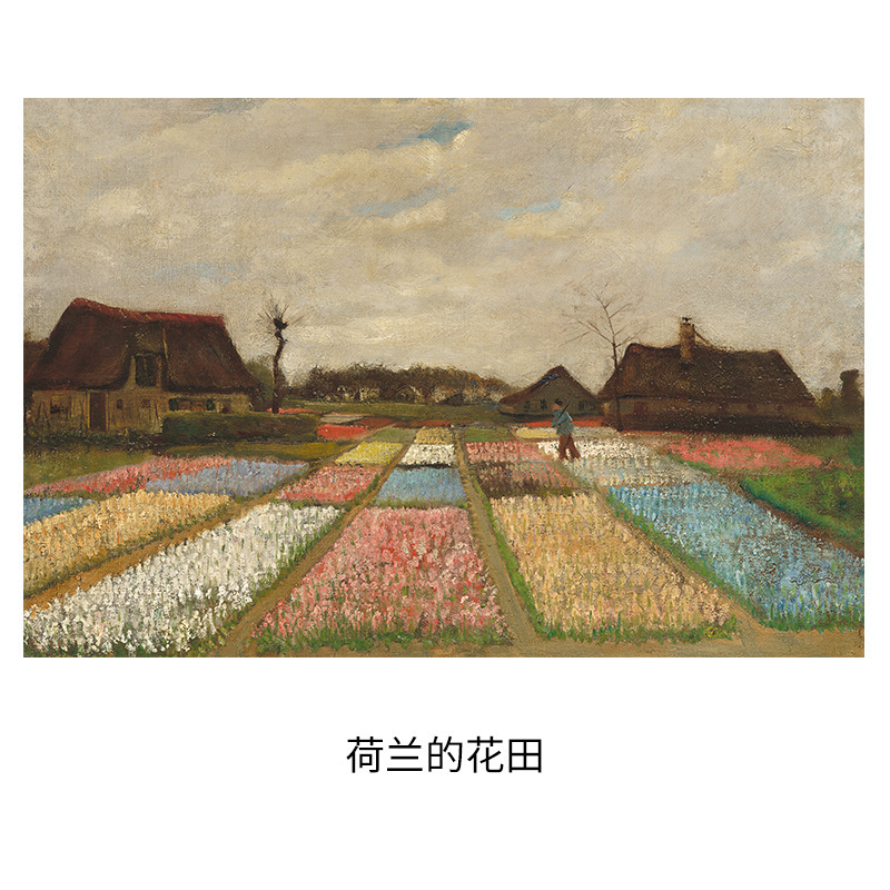 Campos de flores en Holanda