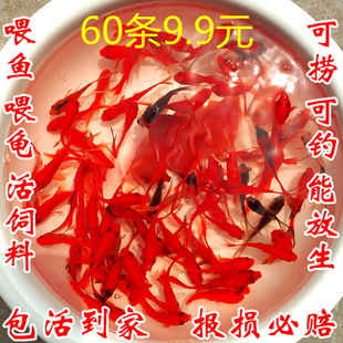 �ݽ�����С�~��ˮ���B���ͻ����ˮ�~�^�p�~����С���~���~��һ��